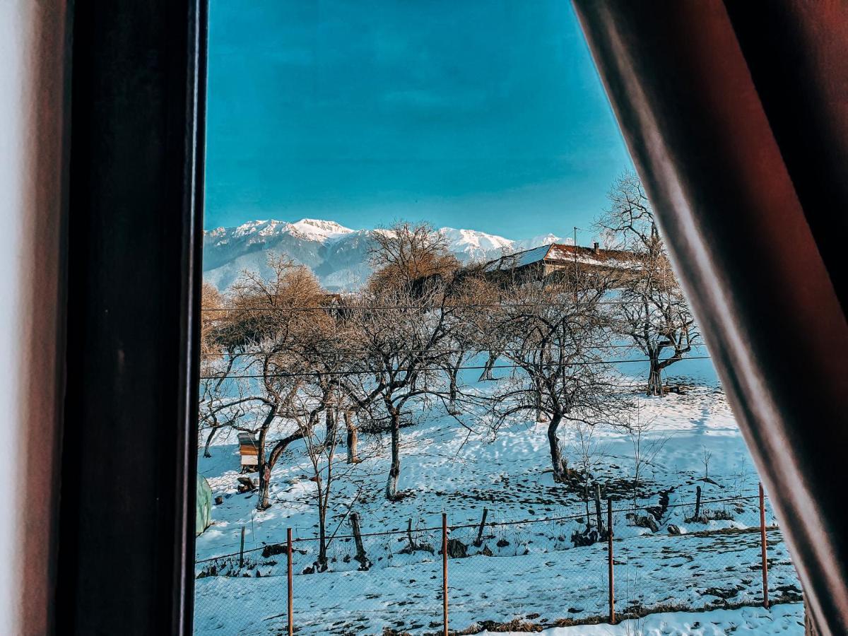 Transylvania Mountain View Cdi Bran  Eksteriør billede