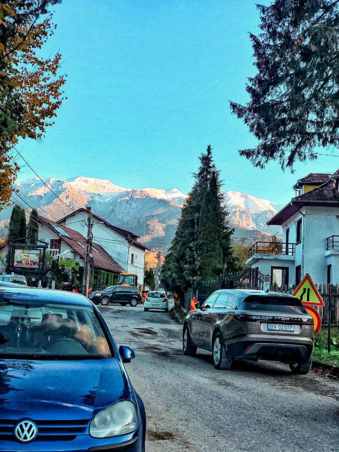 Transylvania Mountain View Cdi Bran  Eksteriør billede