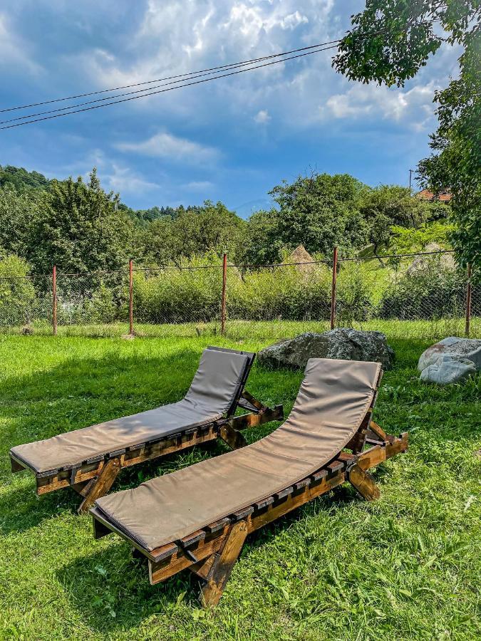 Transylvania Mountain View Cdi Bran  Eksteriør billede