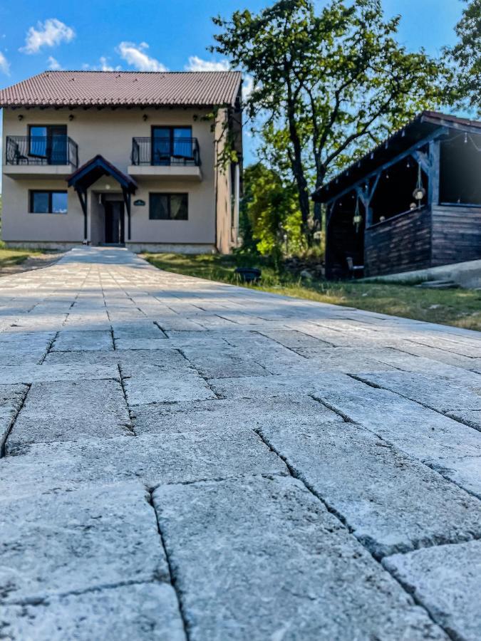 Transylvania Mountain View Cdi Bran  Eksteriør billede