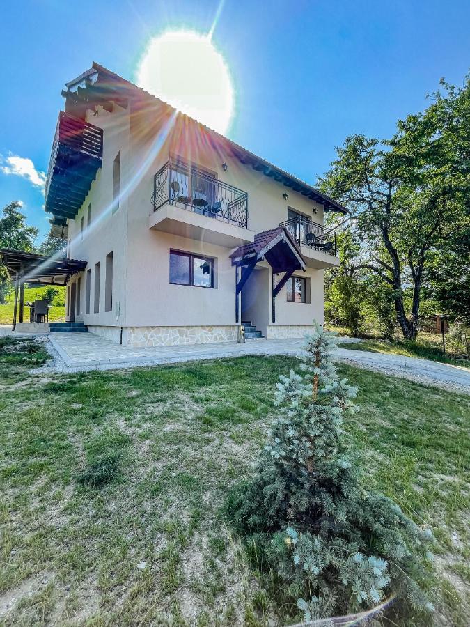 Transylvania Mountain View Cdi Bran  Eksteriør billede