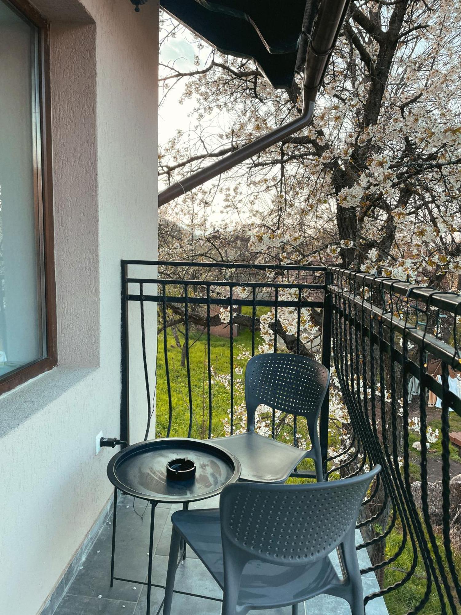 Transylvania Mountain View Cdi Bran  Værelse billede