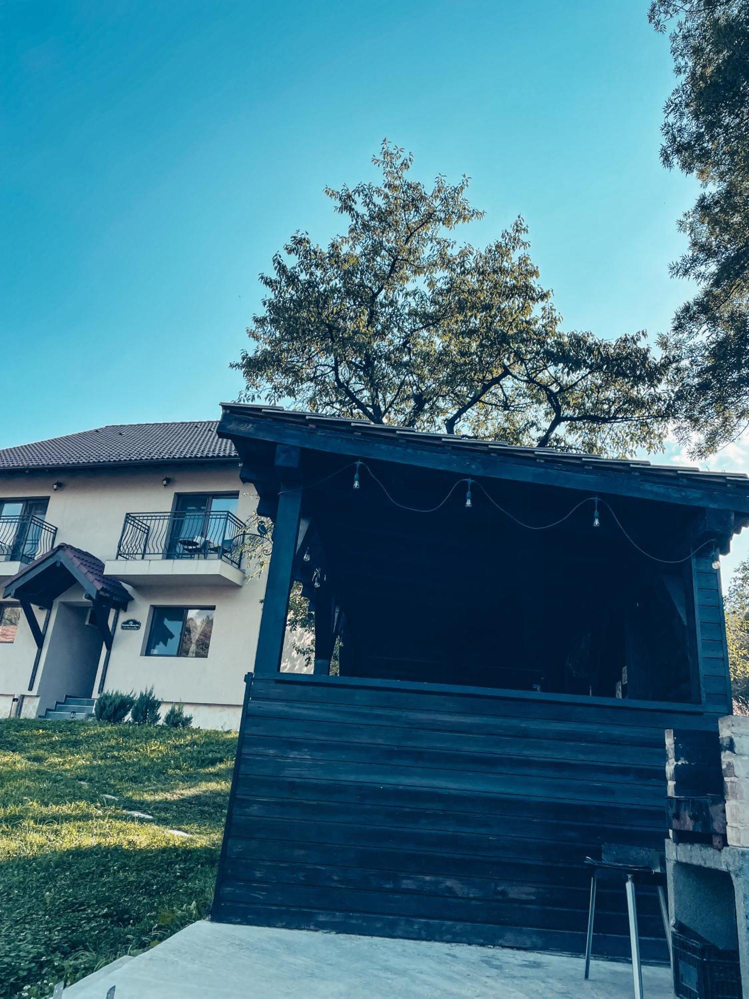 Transylvania Mountain View Cdi Bran  Eksteriør billede